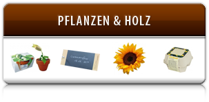 Pflanzen & Holz